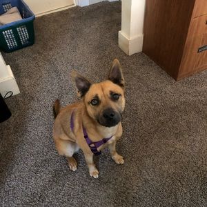 Meet your Posher, Kym